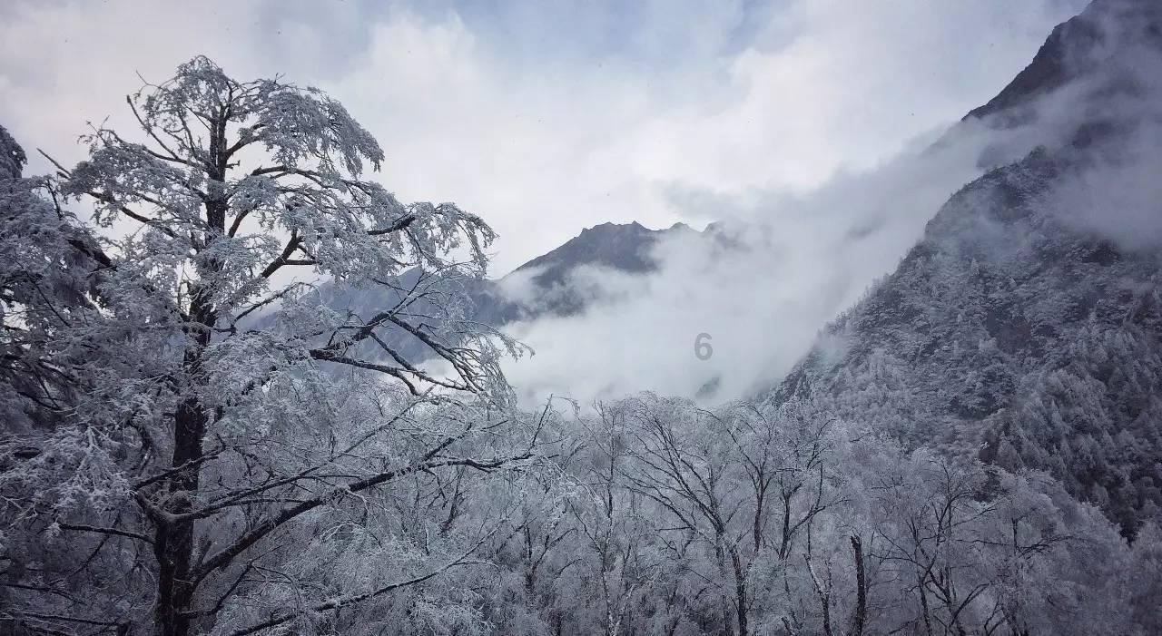 比萨挑战赛
